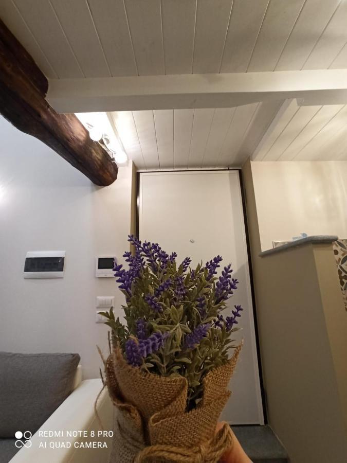 Antico-Vicolo Appartamento Viviana Vercelli Exteriör bild